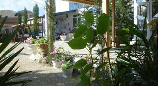 Гостевой дом Guesthouse Viola Судак-2